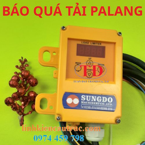 bao-qua-tai-palang-cau-truc